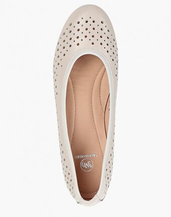 Миниатюра фотографии Балетки salamander