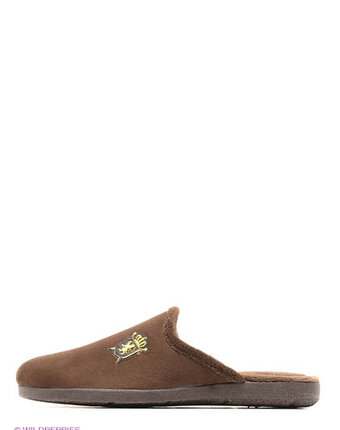 Миниатюра фотографии Испанские тапочки, mon ami