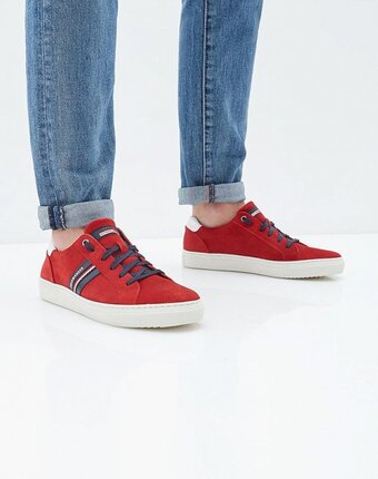 Миниатюра фотографии Кеды salamander