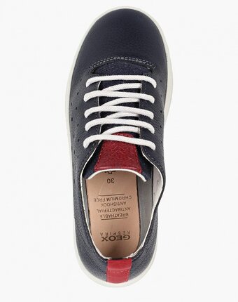 Миниатюра фотографии Кеды geox