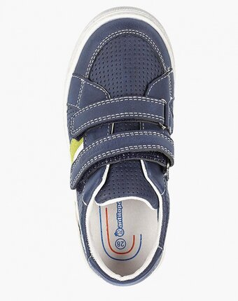 Миниатюра фотографии Кеды antilopa