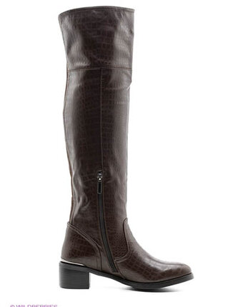 Превью изображения Ботфорты, inario Миниатюра фотографии Ботфорты, inario