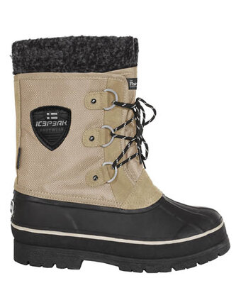 Миниатюра фотографии Сапоги, icepeak
