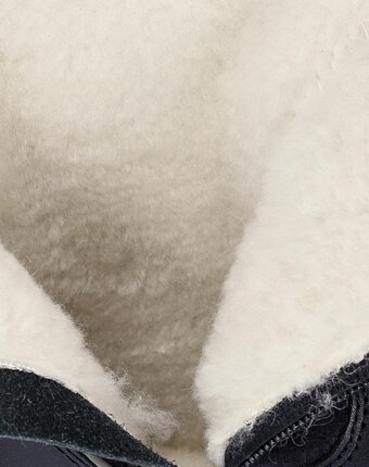 Миниатюра фотографии Сапоги zebra