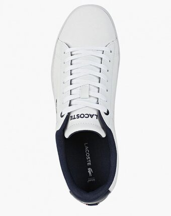 Миниатюра фотографии Кеды lacoste