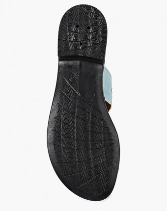 Миниатюра фотографии Сабо kynuria