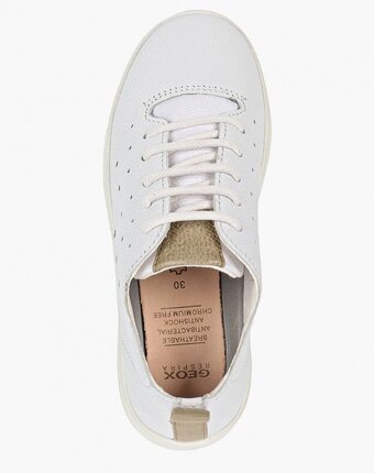 Миниатюра фотографии Кеды geox