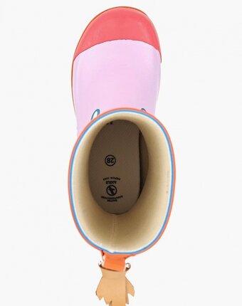 Миниатюра фотографии Резиновые сапоги aigle