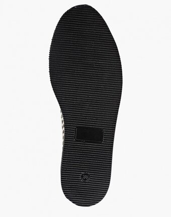 Миниатюра фотографии Лоферы clovis