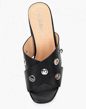 Миниатюра фотографии Сабо bellamica