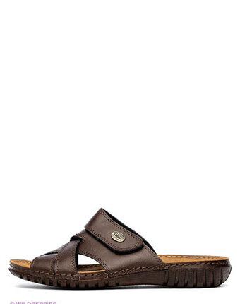 Миниатюра фотографии Сланцы, best walk