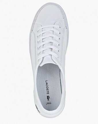 Миниатюра фотографии Кеды lacoste