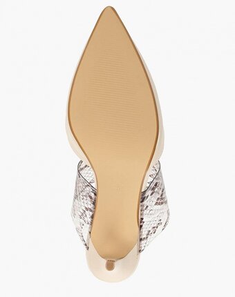 Миниатюра фотографии Сабо dorothy perkins