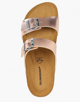 Миниатюра фотографии Сабо salamander