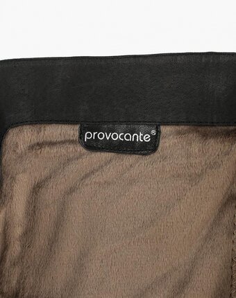 Миниатюра фотографии Сапоги provocante