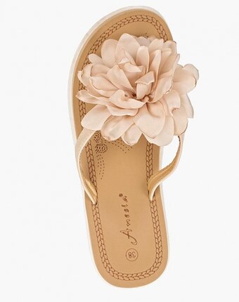 Миниатюра фотографии Сабо anesia