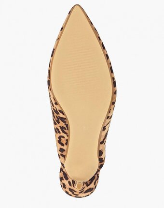 Миниатюра фотографии Сабо dorothy perkins