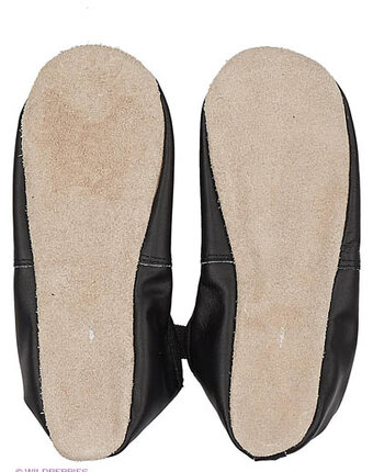 Миниатюра фотографии Чешки, dolphin