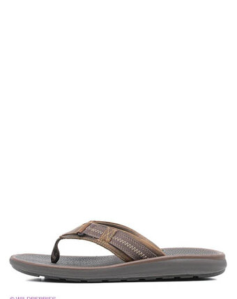 Миниатюра фотографии Сланцы, clarks
