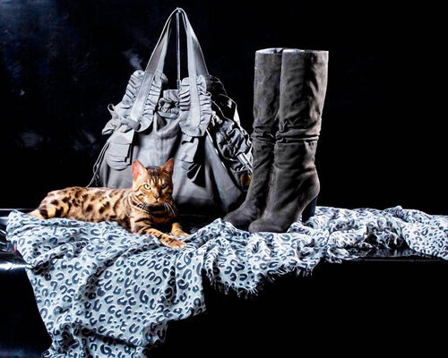 Фотография обувного магазина Carlo Pazolini