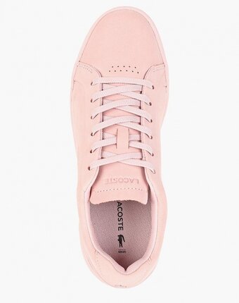 Миниатюра фотографии Кроссовки lacoste