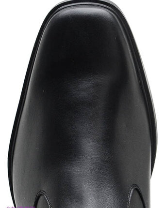 Миниатюра фотографии Сапоги, ralf ringer