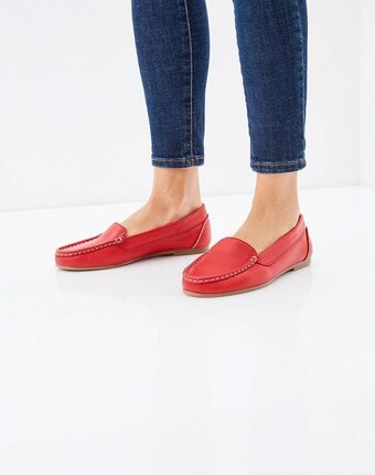 Миниатюра фотографии Мокасины dali