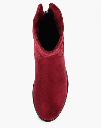 Миниатюра фотографии Полусапоги anesia