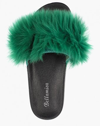 Миниатюра фотографии Сабо bellamica