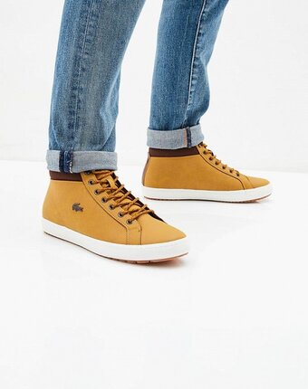 Миниатюра фотографии Кеды lacoste