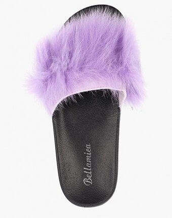 Миниатюра фотографии Сабо bellamica