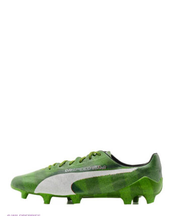 Миниатюра фотографии Бутсы evospeed sl grass fg, puma