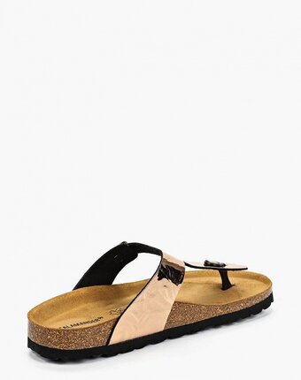 Миниатюра фотографии Сабо salamander