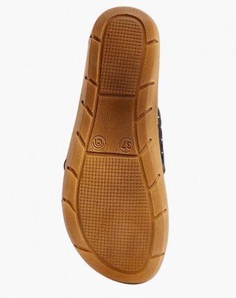 Миниатюра фотографии Сабо kynuria