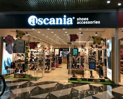 Фотография обувного магазина Ascania