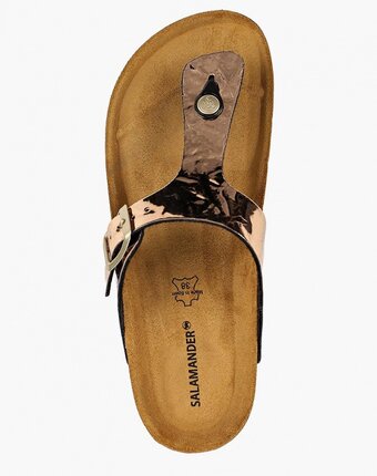 Миниатюра фотографии Сабо salamander