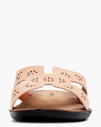 Миниатюра фотографии Сабо kynuria