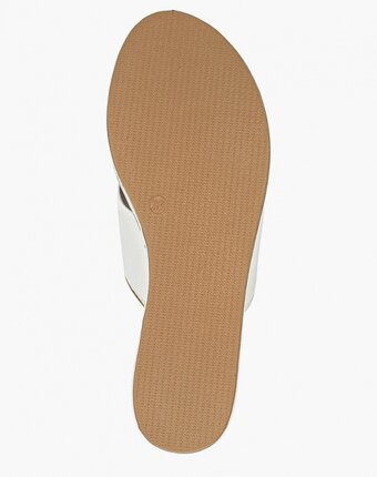 Миниатюра фотографии Сабо inuovo