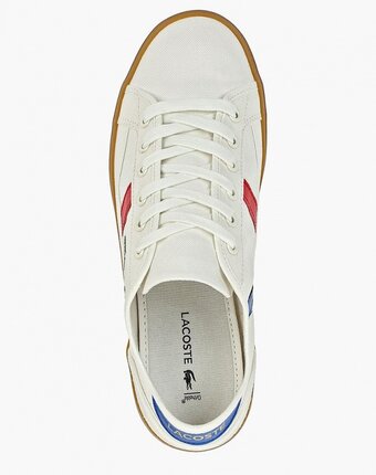 Миниатюра фотографии Кеды lacoste