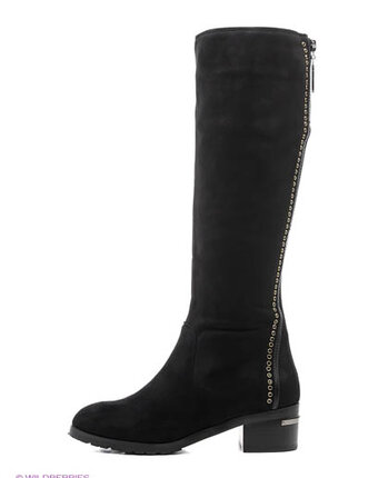 Миниатюра фотографии Сапоги, admlis