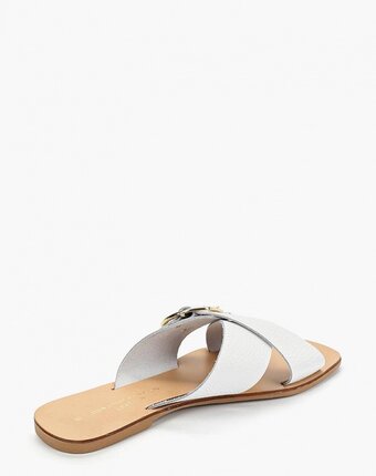 Миниатюра фотографии Сабо dorothy perkins