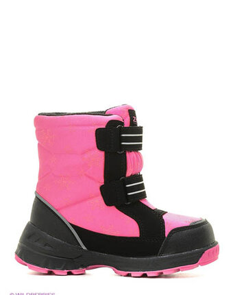 Миниатюра фотографии Дутики, зебра