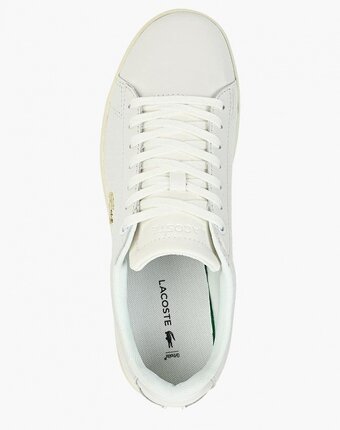 Миниатюра фотографии Кеды lacoste