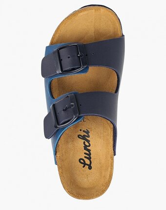 Миниатюра фотографии Сланцы lurchi