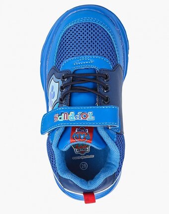 Миниатюра фотографии Кроссовки kakadu