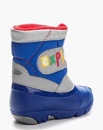 Миниатюра фотографии Дутики зебра