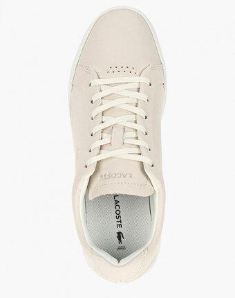 Миниатюра фотографии Кеды lacoste