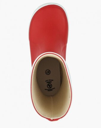 Миниатюра фотографии Резиновые сапоги aigle