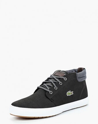 Миниатюра фотографии Кеды lacoste