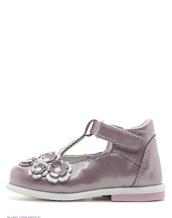 Миниатюра фотографии Туфли, котофей